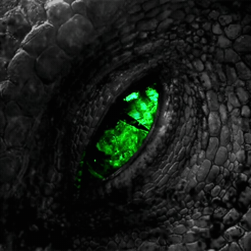 targareyen crest "house targaryen - fire and blood -"